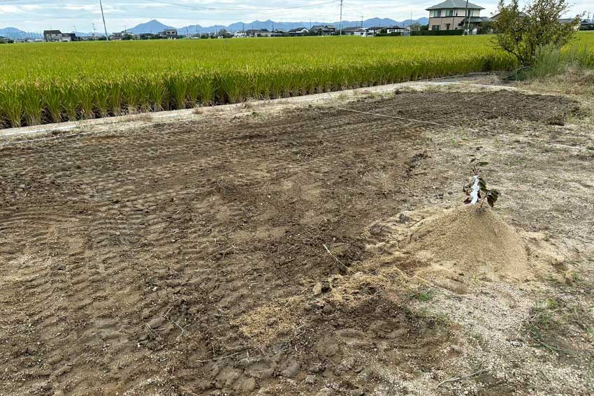 岡山｜丸富｜イヤシロチ 埋め戻し